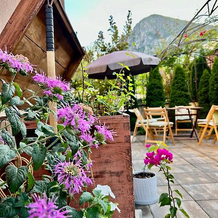 Comfort Luxury Apartments Vratsa Екстер'єр фото